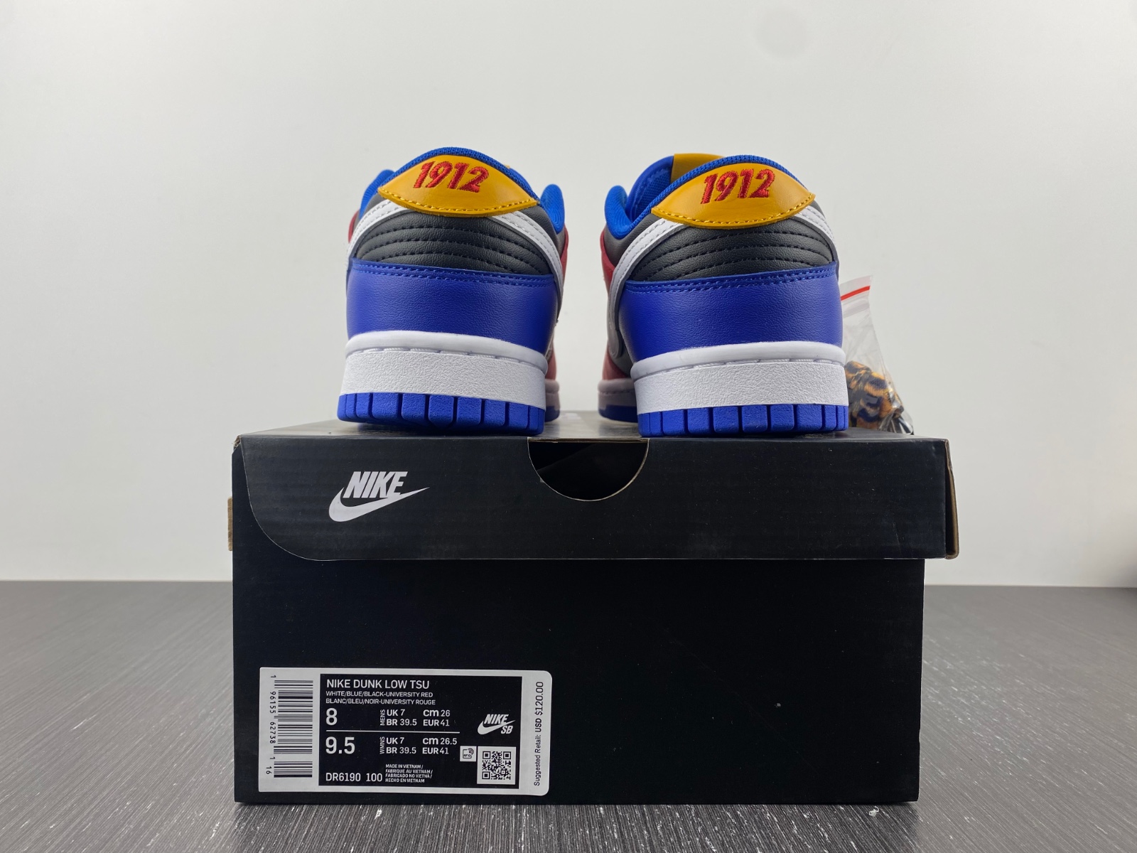 Nike Dunk Low TSU DR6190-100