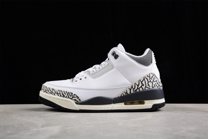 Air Jordan 3 GS Hide N' Sneak DX6665-100