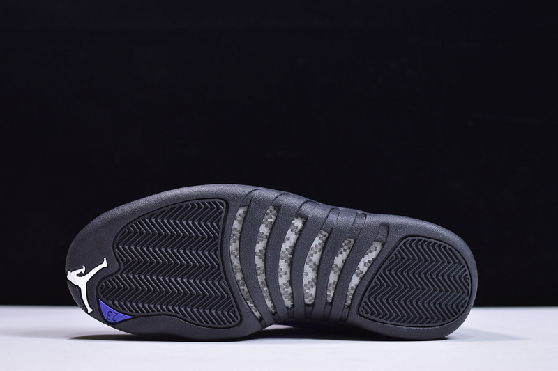 Air Jordan 12 Black Dark Concord CT8013-005