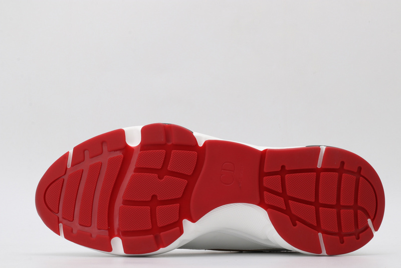 DIOR B22 SNEAKER