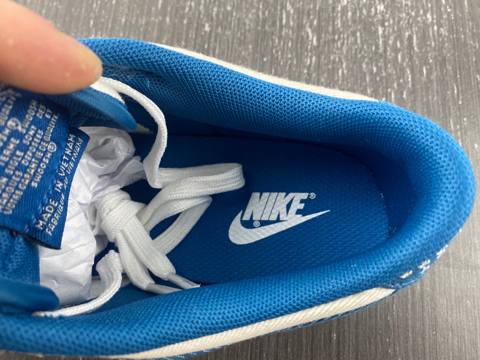 Nike Dunk Low SE "Industrial Blue" DV0834-101