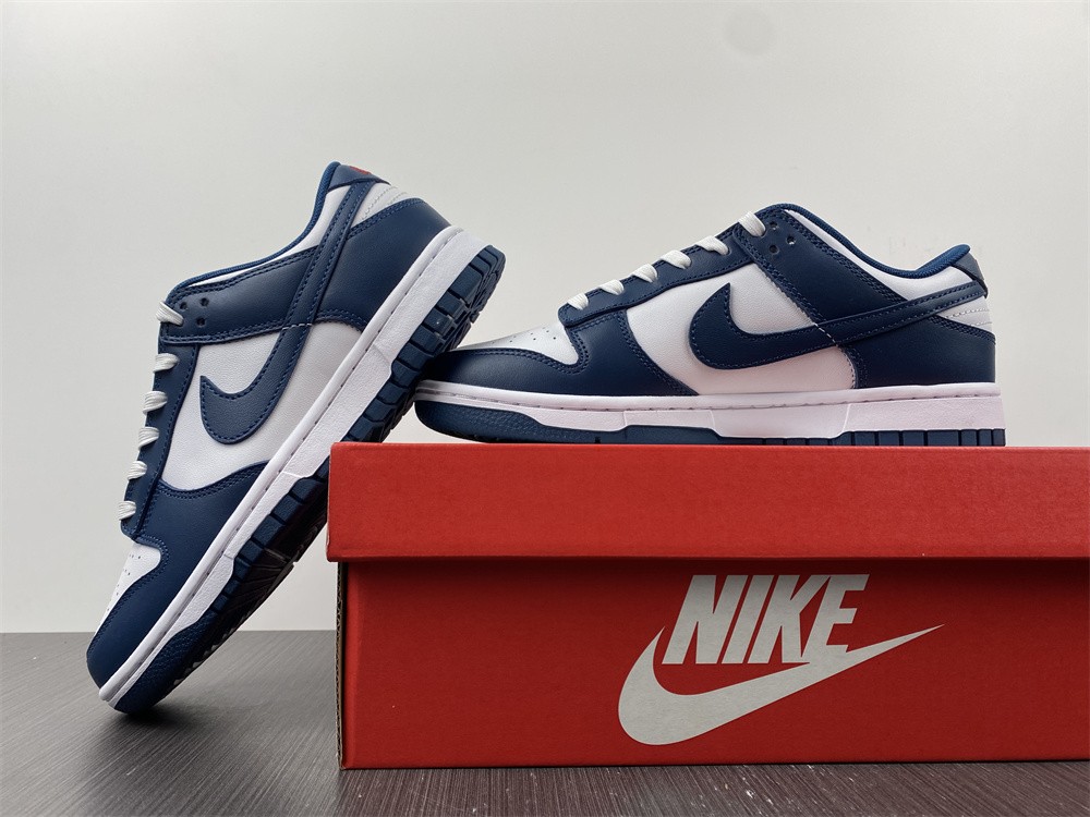 Nike Dunk Low Valerian Blue DD1391-400