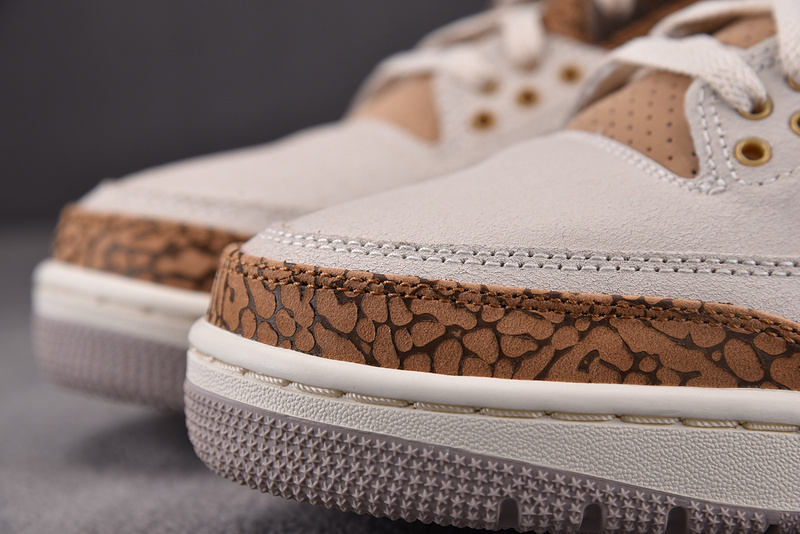 Air Jordan 3 "Palamino" CT8532-102