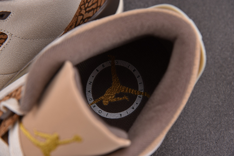 Air Jordan 3 "Palamino" CT8532-102