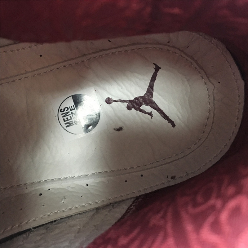 Air Jordan 13 Retro Premio 