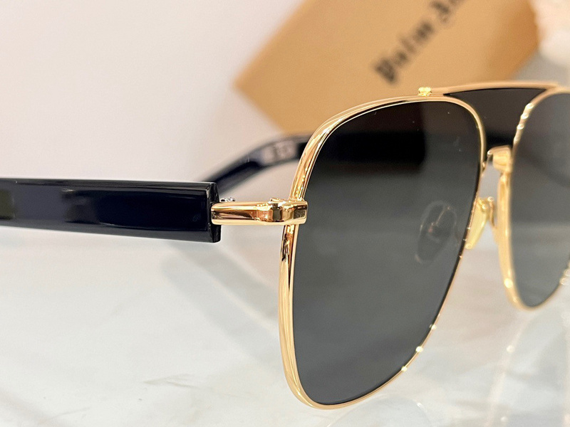 PALM ANGLES SUNGLASSES 202304007