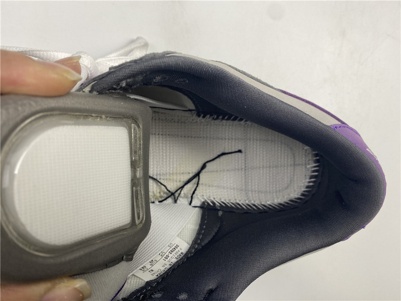 Nike Dunk SB Low Purple Pigeon 304292-051