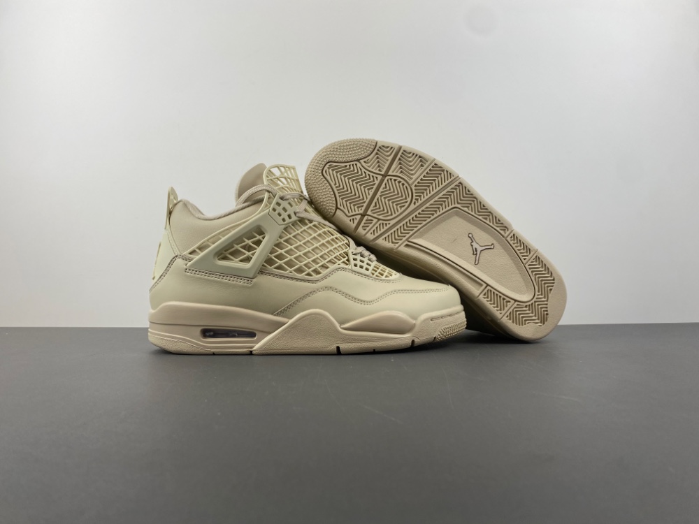 Air Jordan 4 Net  FN7251-200