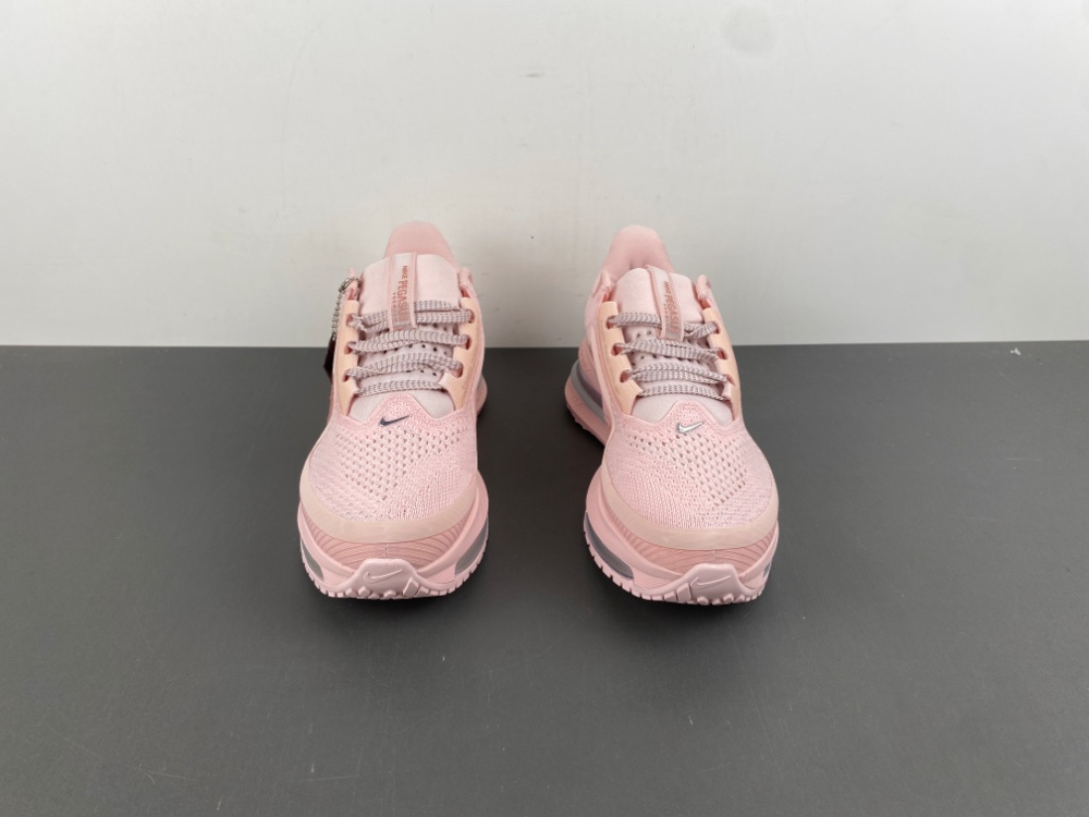 Wmns Pegasus Premium 