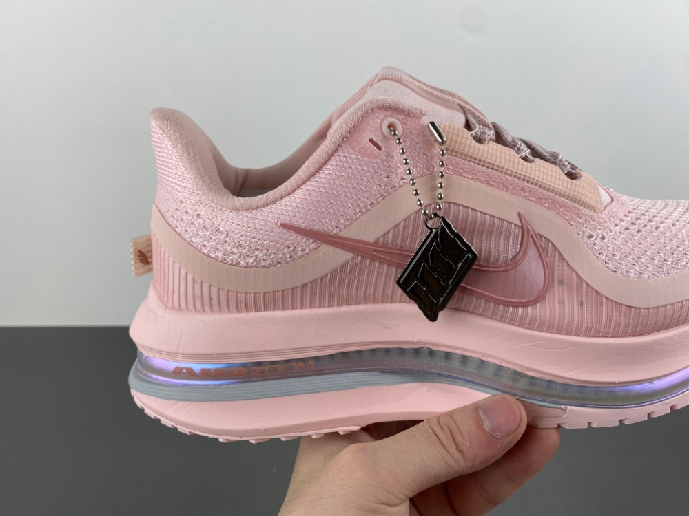 Wmns Pegasus Premium 