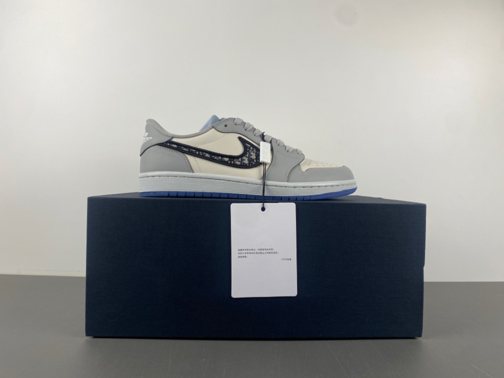 Dior x Air Jordan 1 Retro High Premium