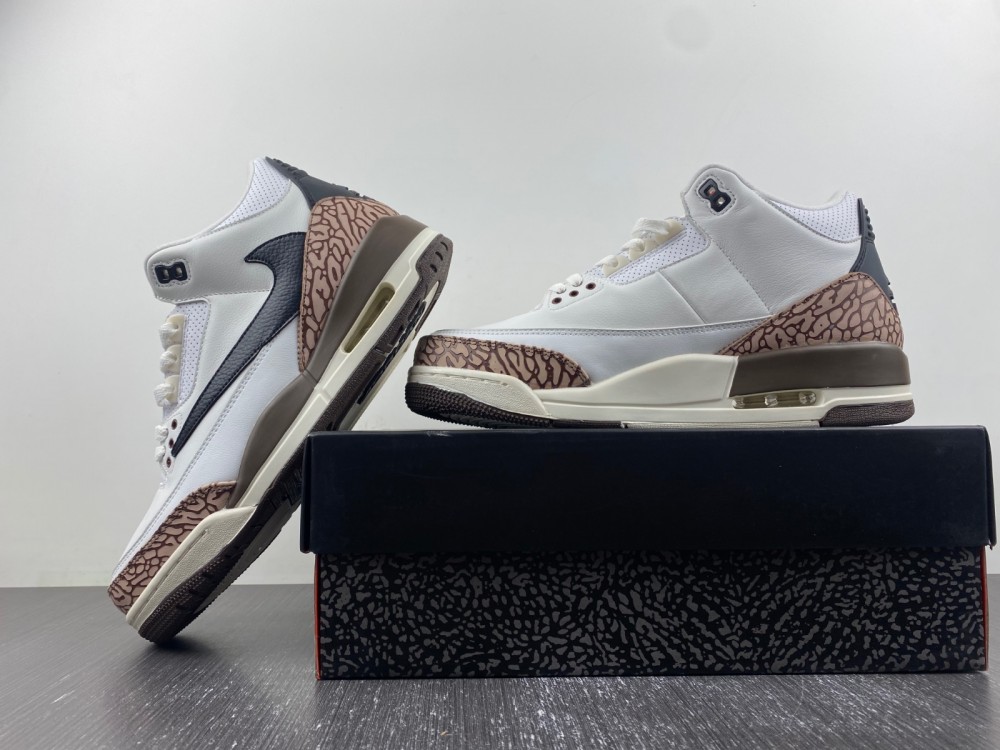 Travis Scott x Air Jordan 3 136064-168