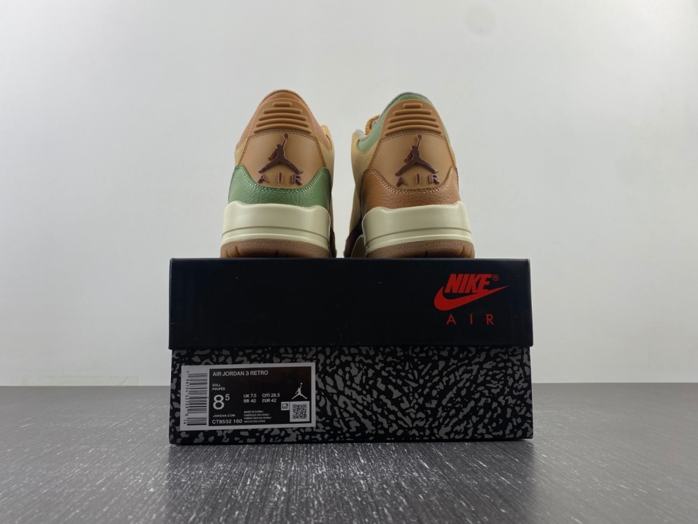 Air Jordan 3 CT8532-103