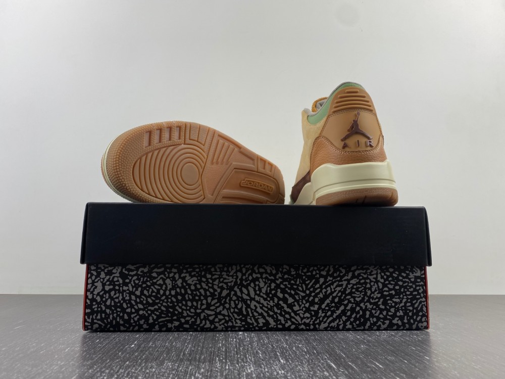 Air Jordan 3 CT8532-103