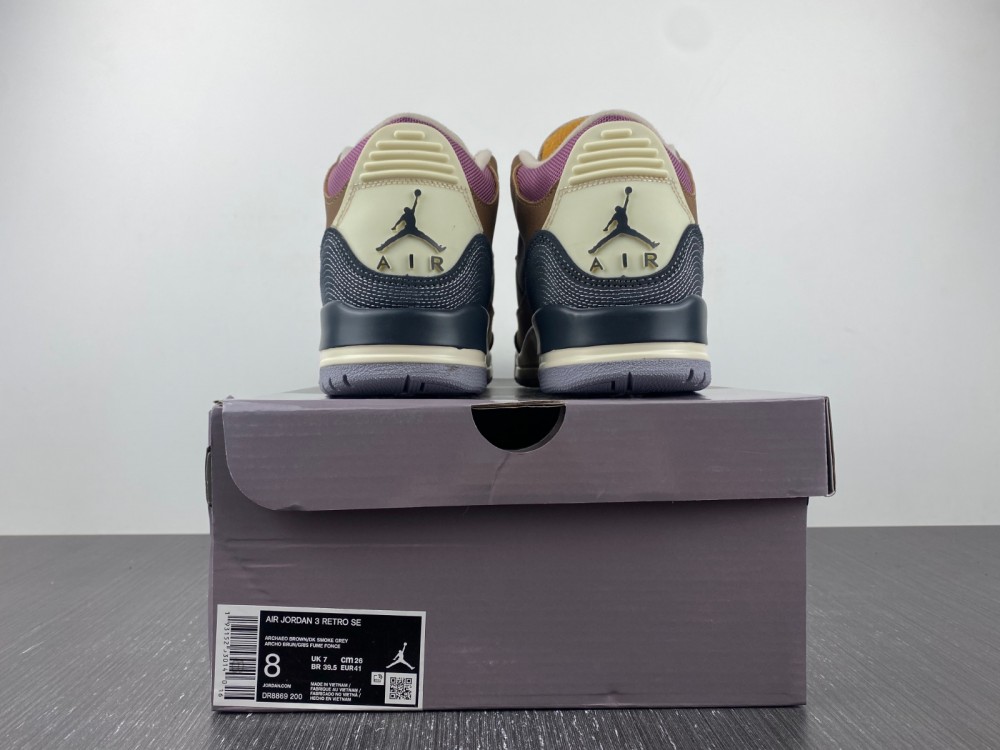 Air Jordan 3 Retro SE AJ3 DR8869-200