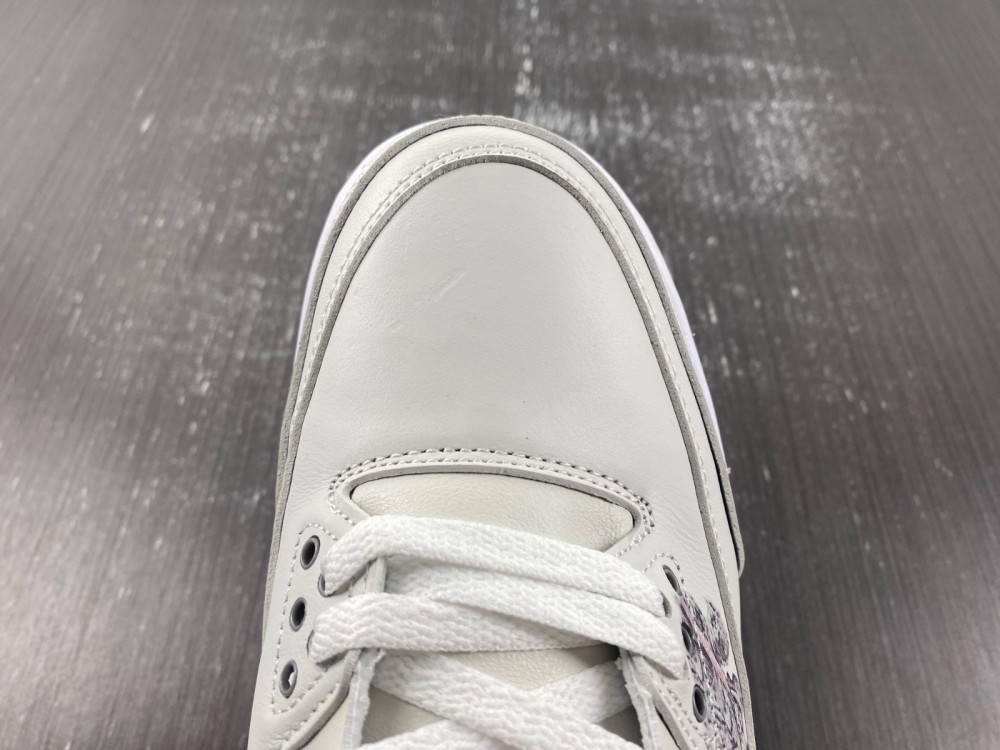 Air Jordan 3 FN0344-666