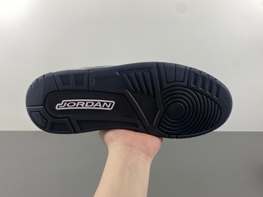 Air Jordan 3 CK9246-168