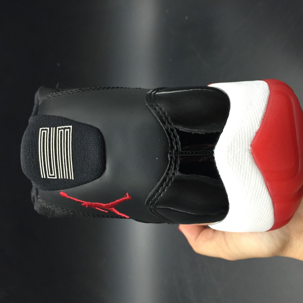 Air Jordan11 378037-010