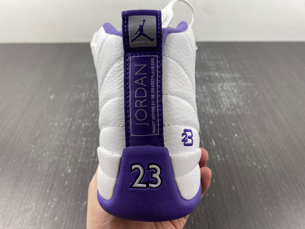 Nike Air Jordan 12 CT8013-150