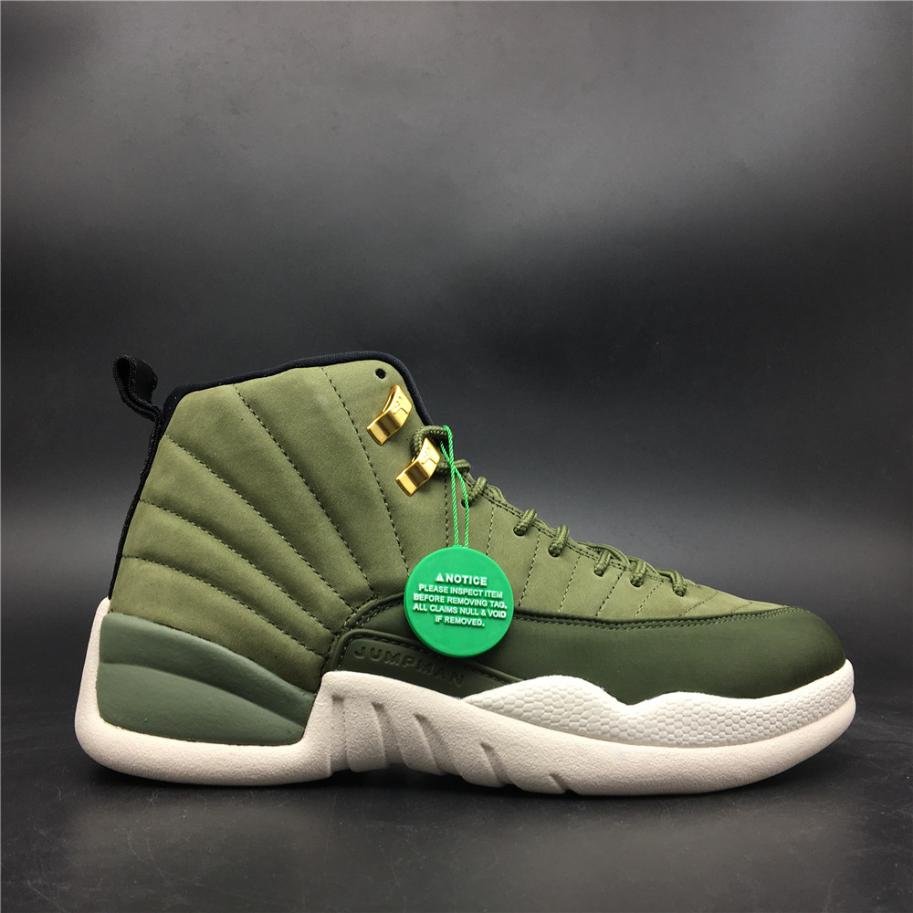 Air Jordan 12 130690- 301