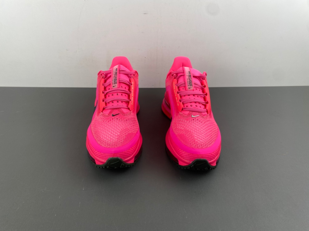 Nike Pegasus Premium    HQ2592-600