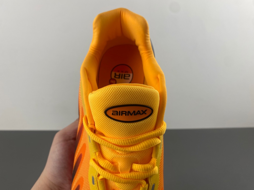 Nike Air Max DN 8  HF5509-002