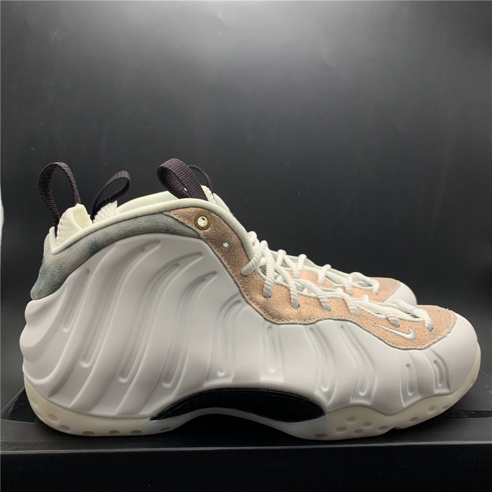 Nike Air Foamposite AA3963-101