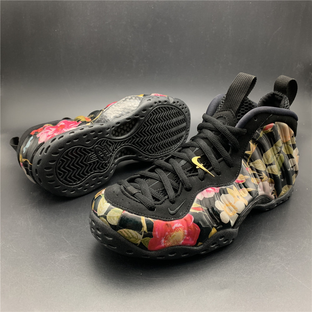 Air Foamposite 314996-012