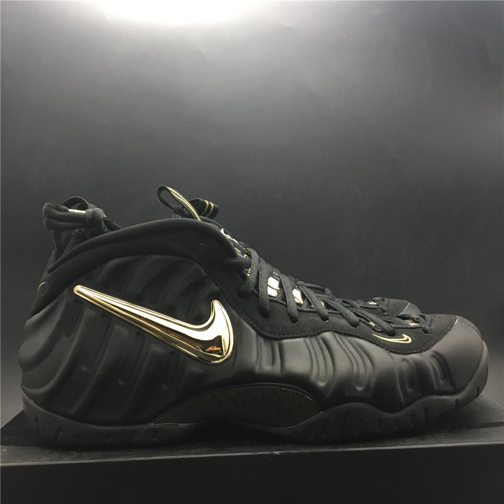 Nike Air Foamposite One 624041-009