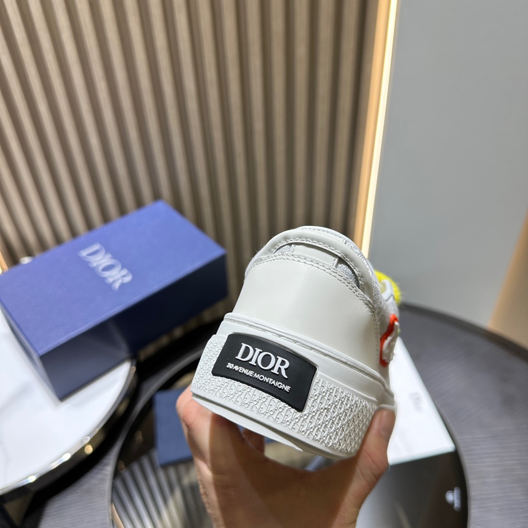 DIOR B33 SNEAKER