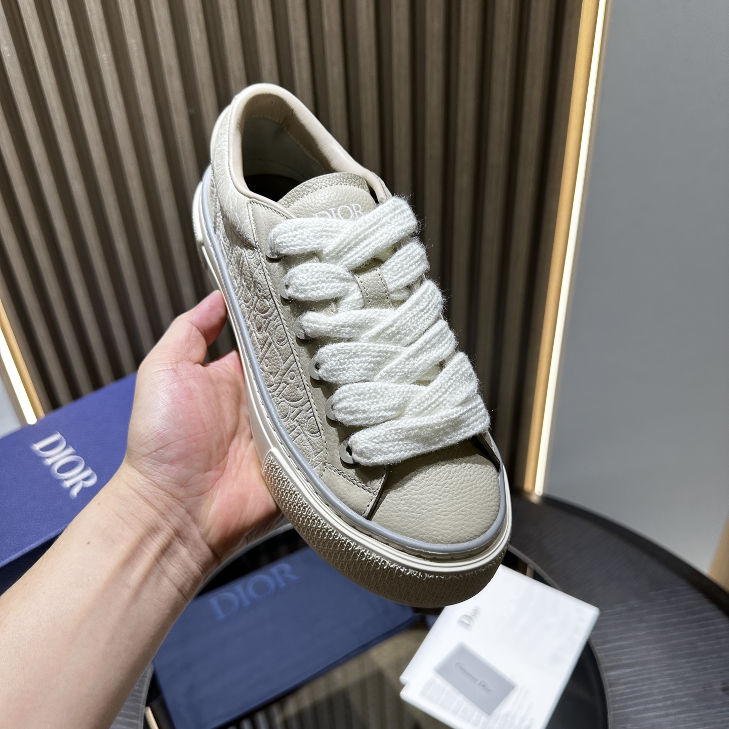DIOR B33 SNEAKER
