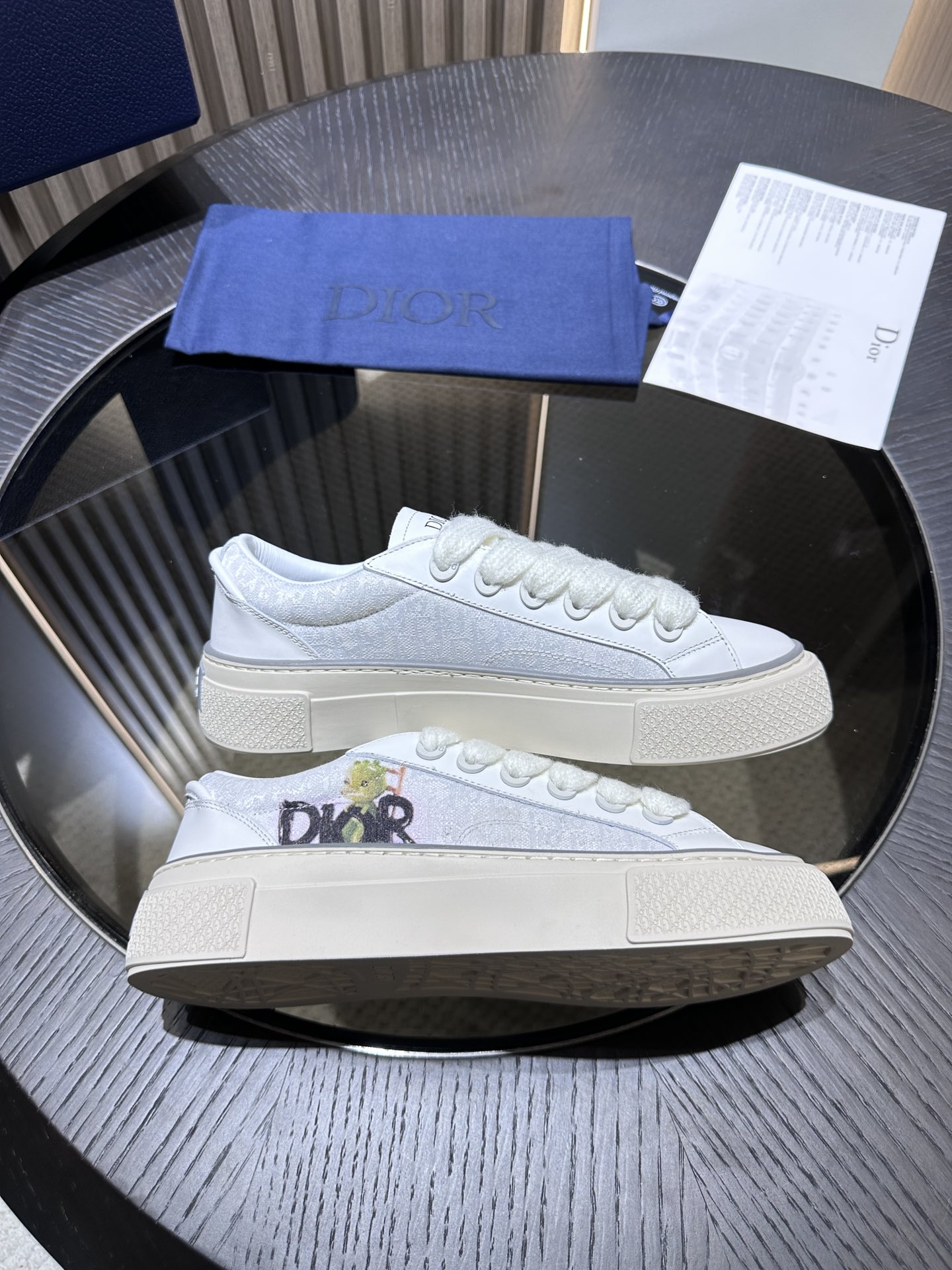 DIOR B33 SNEAKER