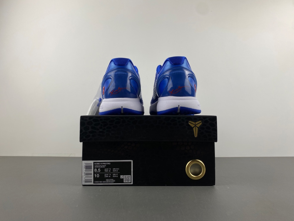 Nike Kobe 6 Protro “Dodgers”CW2190-400