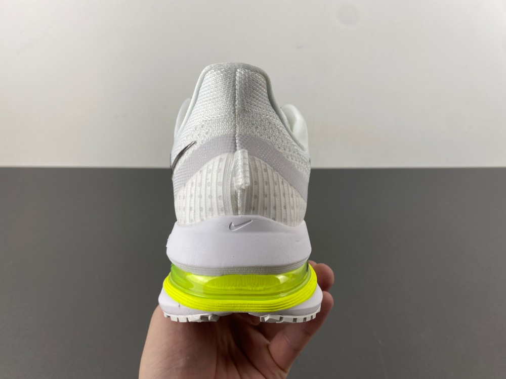 Nike Pegasus Premium HQ2592-100