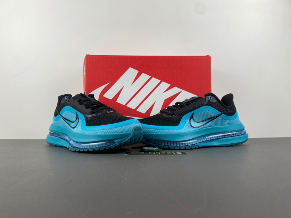 Nike Pegasus Premium