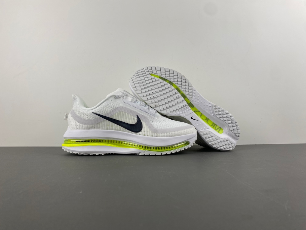 Nike Pegasus Premium HQ2592-100