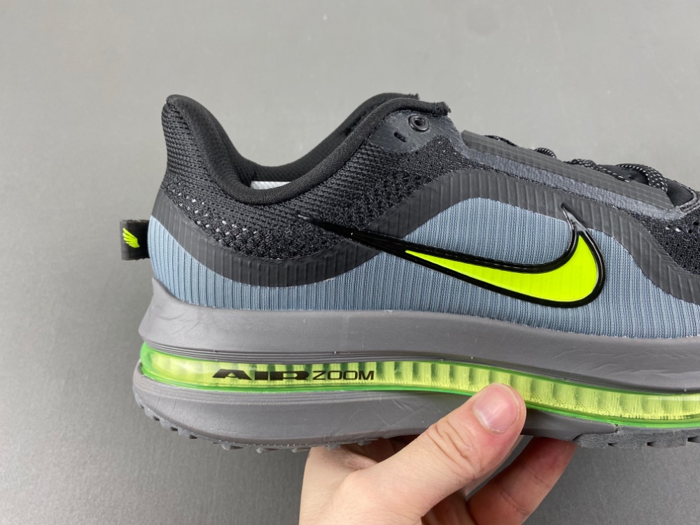 Nike Pegasus Premium