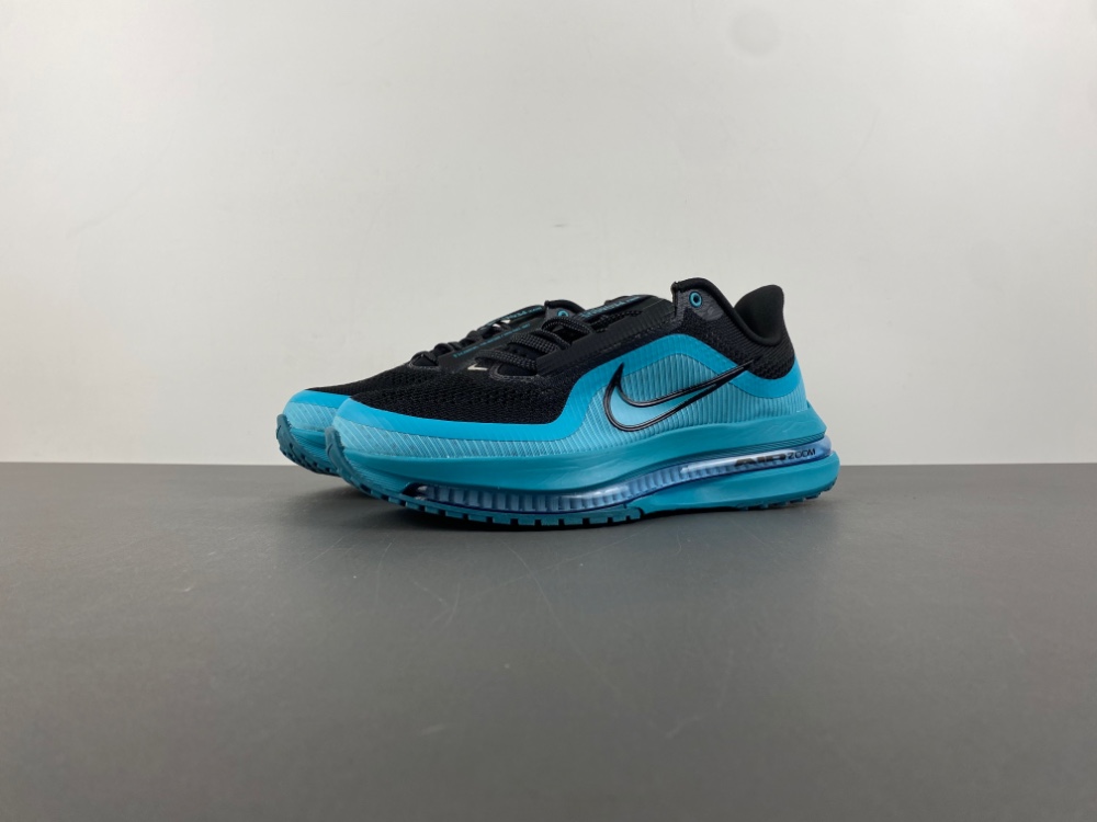 Nike Pegasus Premium