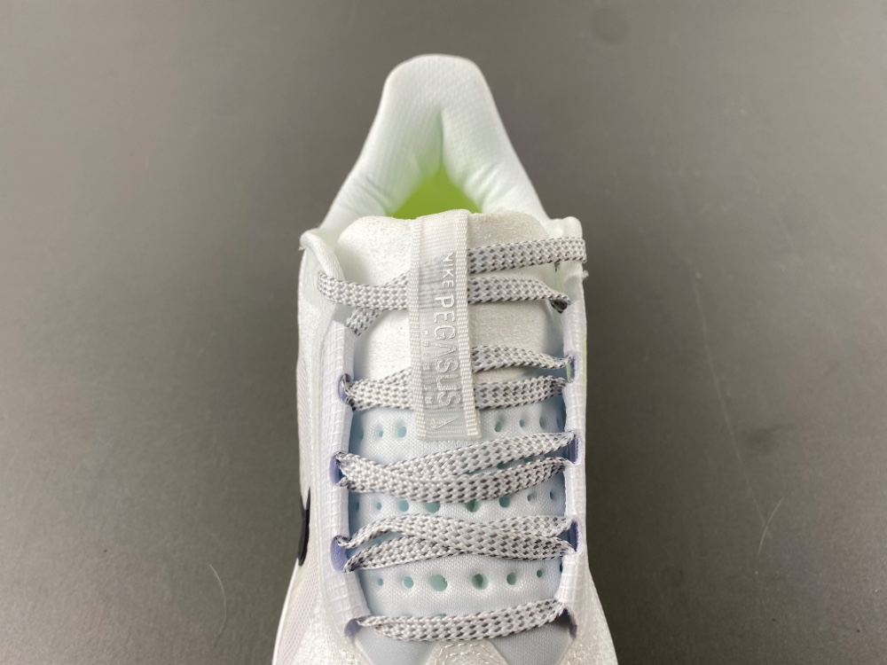 Nike Pegasus Premium HQ2592-100