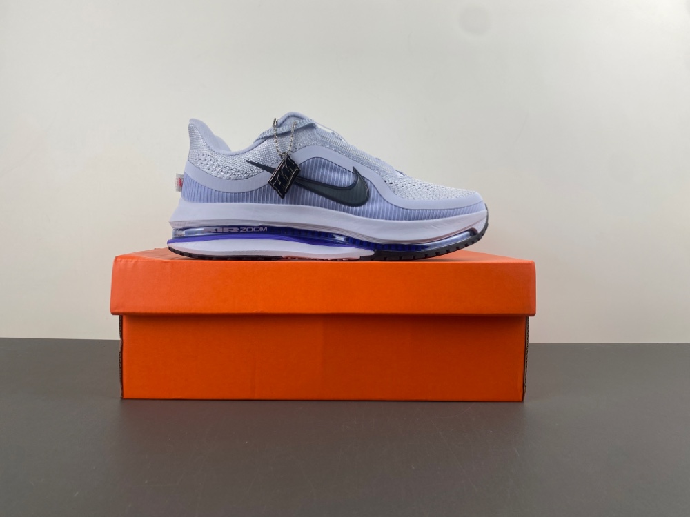 Nike Pegasus Premium 