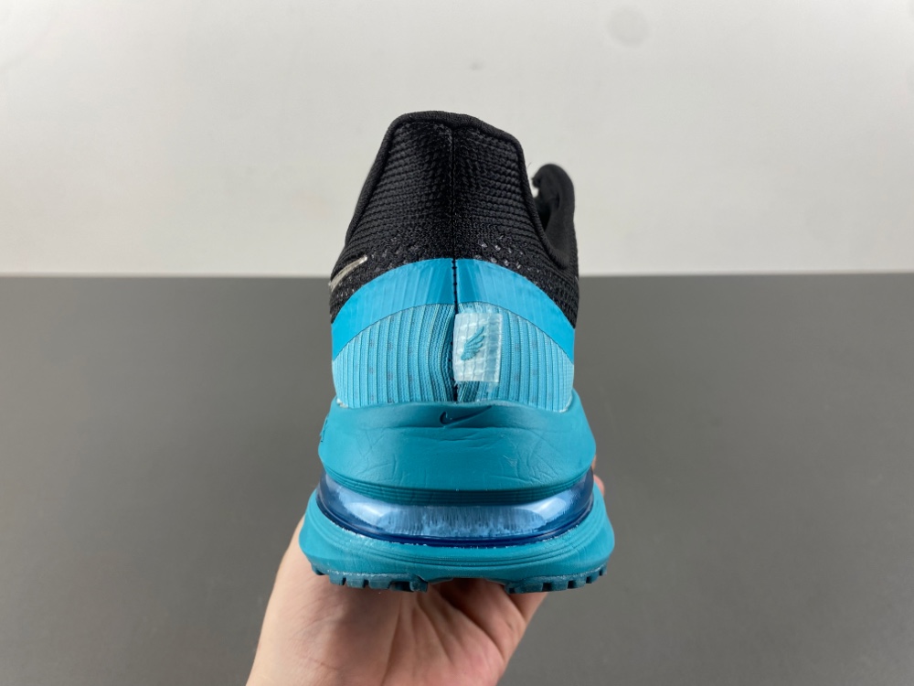 Nike Pegasus Premium