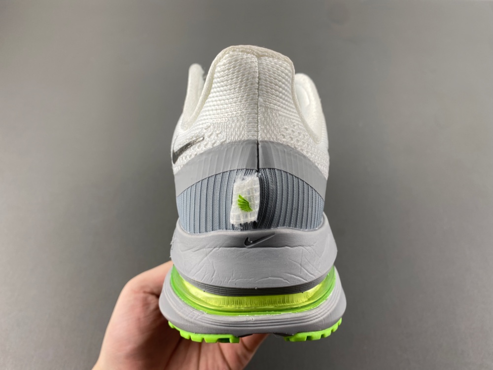 Nike Pegasus Premium