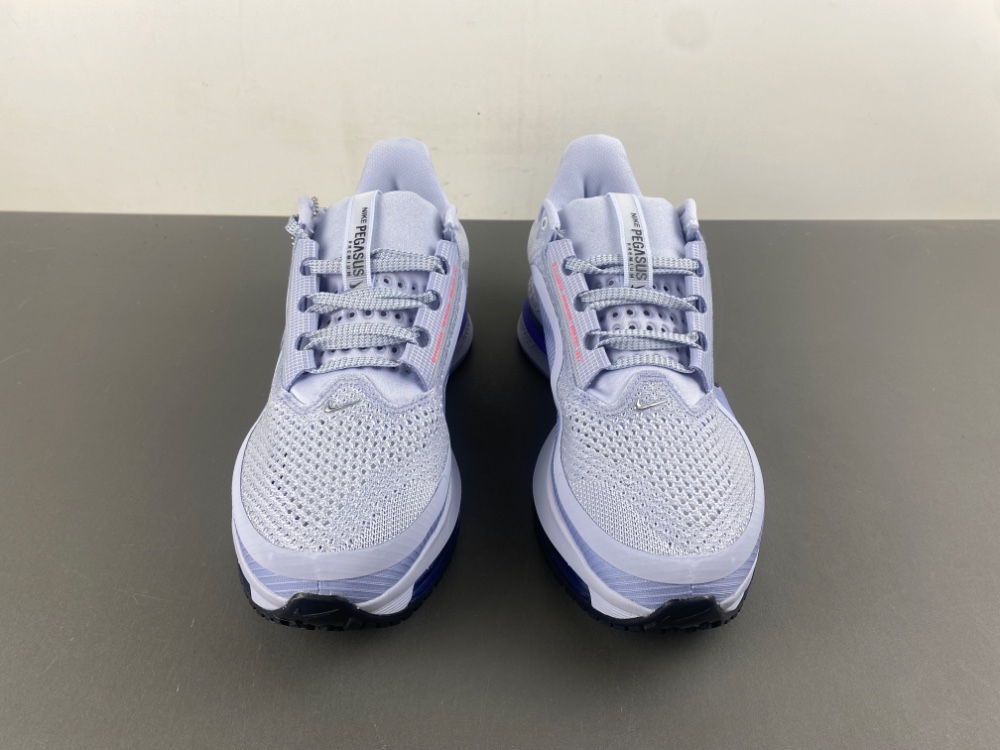 Nike Pegasus Premium 