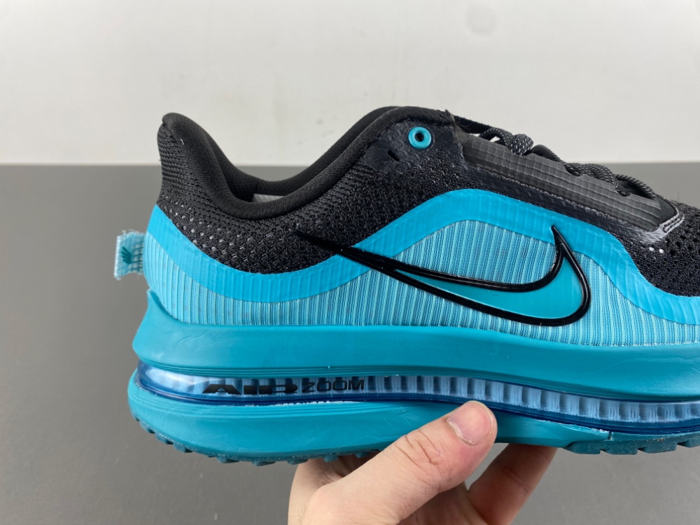 Nike Pegasus Premium