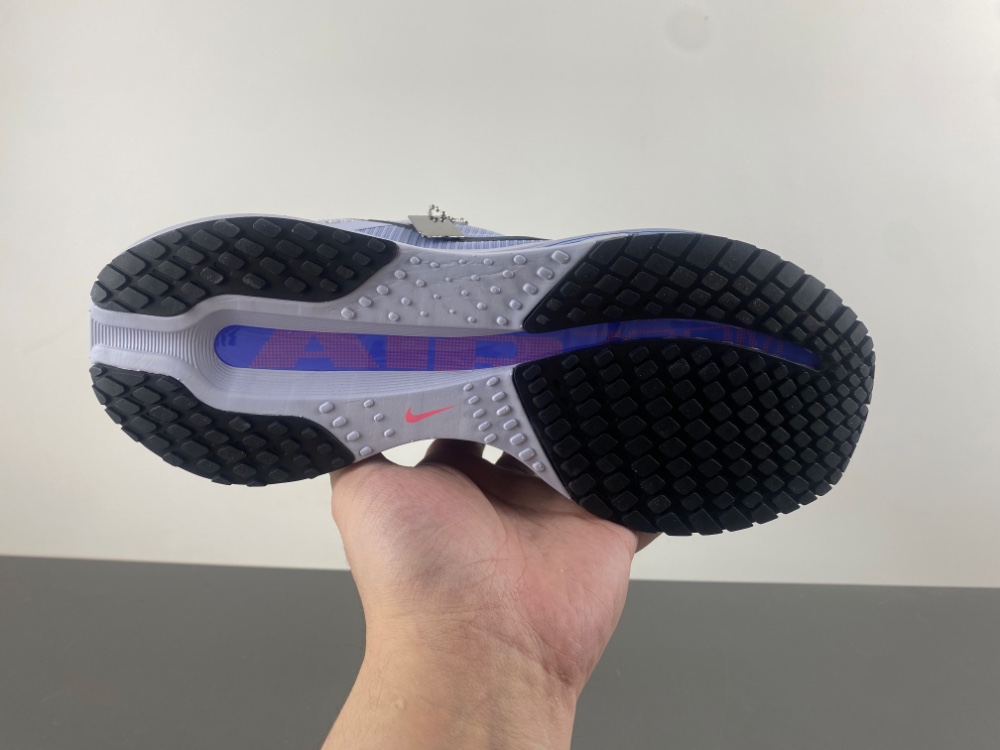 Nike Pegasus Premium 