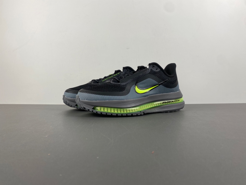 Nike Pegasus Premium