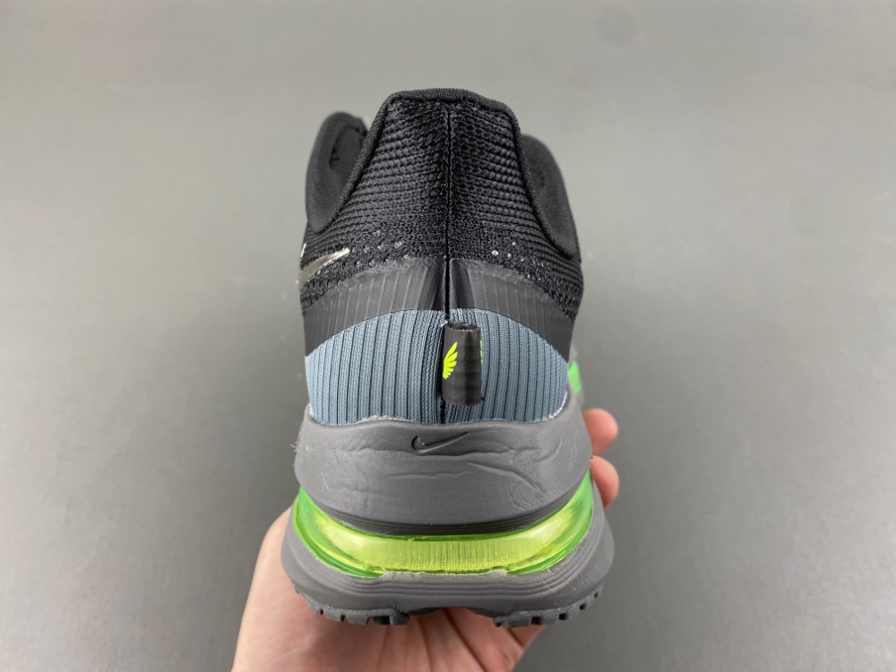 Nike Pegasus Premium