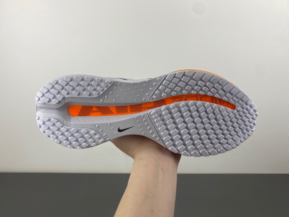 Nike Pegasus Premium HQ2593-004