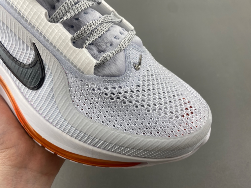 Nike Pegasus Premium HQ2593-004