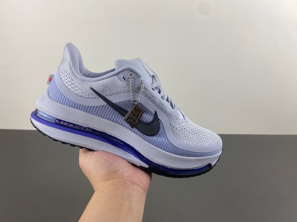 Nike Pegasus Premium 